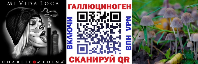 Галлюциногенные грибы GOLDEN TEACHER  Струнино 